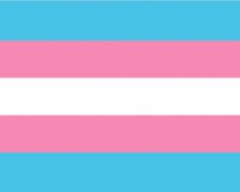 La bandera trans cumple 20 años. Conoce toda la historia